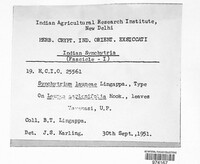 Image Associated With the Occurence